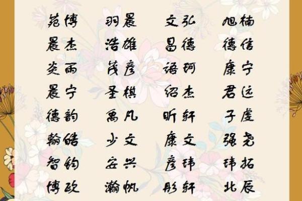 凌晨2点出生的属猴男孩应该如何起名字姓名