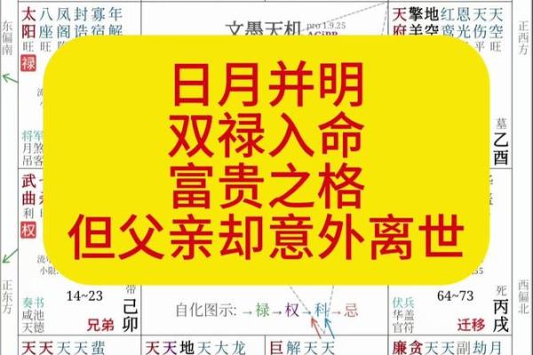 紫薇斗数+天煞