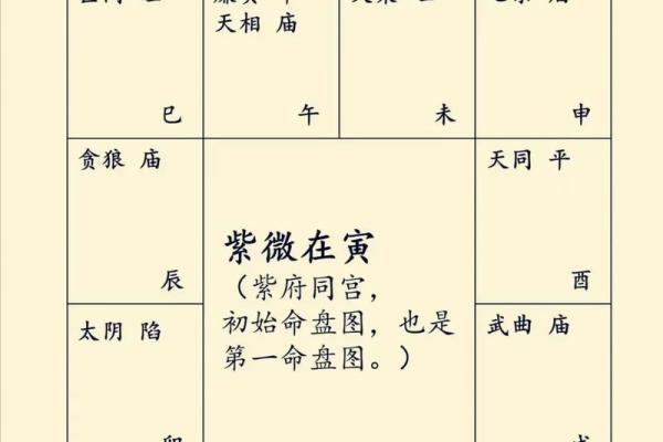 紫薇斗数同垣
