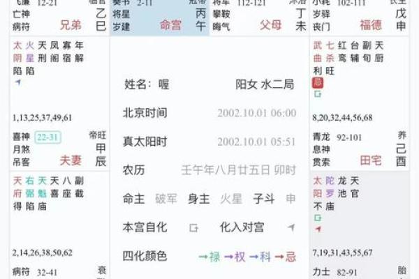 八字十神排盘紫薇斗数