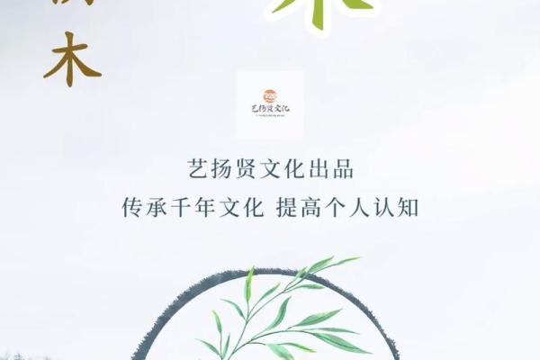 八字乙木