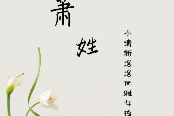 萧姓男孩名字大全-萧姓男孩起名字大全-萧姓名字大全姓名