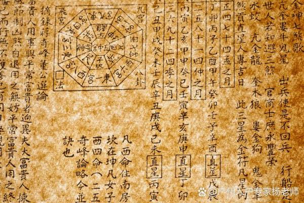 八字杂格