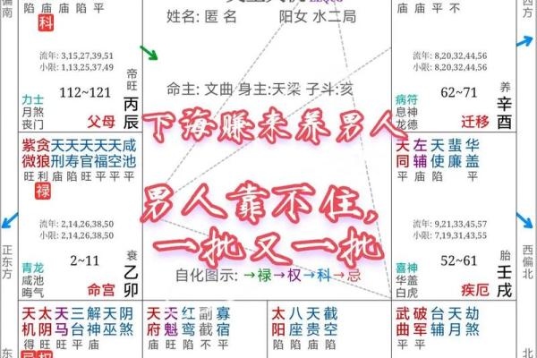 紫薇斗数加会