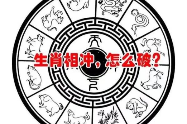 属相怎么写,怎么看自己的生辰八字