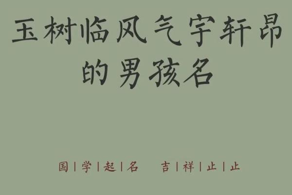 晚上九点出生的属羊男孩起什么名，用什么字姓名