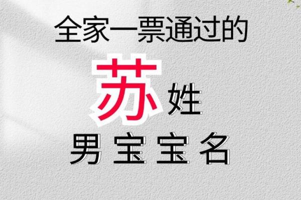 苏姓男孩名字大全-苏姓男孩起名字大全-苏姓名字大全姓名