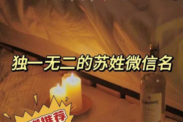 苏姓男孩名字大全-苏姓男孩起名字大全-苏姓名字大全姓名