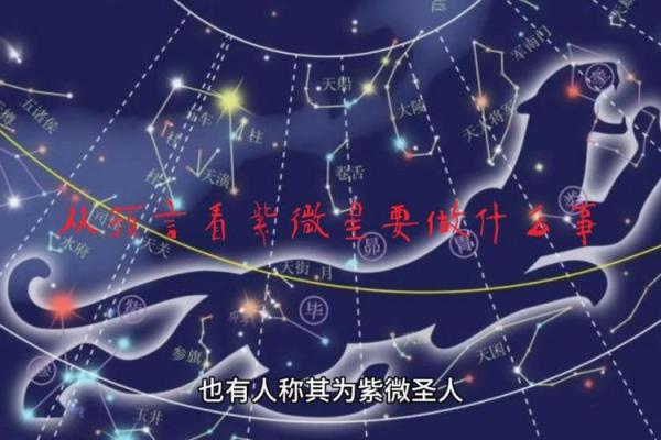 预言紫薇星