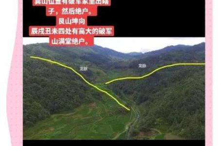 怎么查看我国名人祖坟风水大全