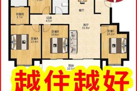 全家人都属龙,七层的楼住几层风水好？