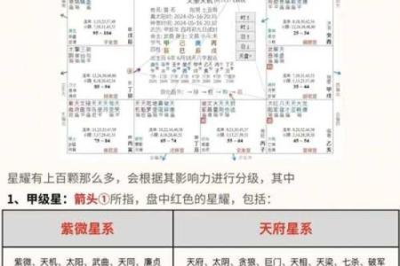 紫薇斗数状元格