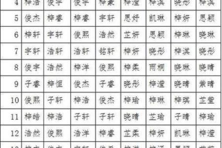 2019年5月5号子时出生的男孩要怎么起名字姓名