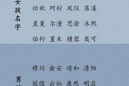 2019年4月3号寅时出生的男孩应该起什么样的名字姓名