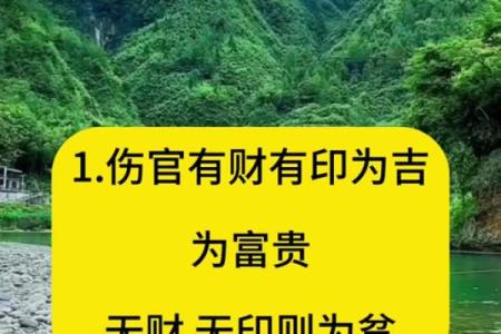 紫薇斗数伤官