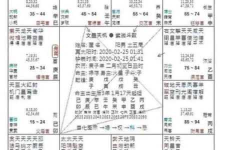 紫薇斗数12神