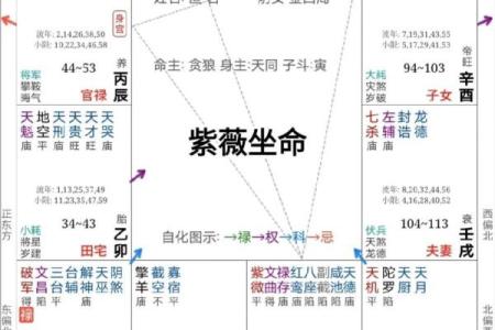 紫薇斗数第三者