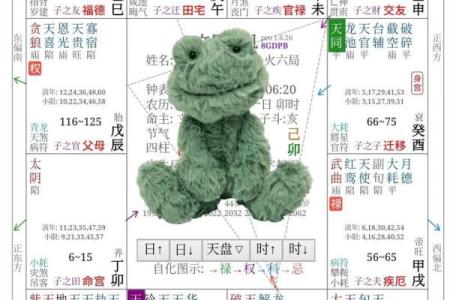 怎么学习紫薇斗数