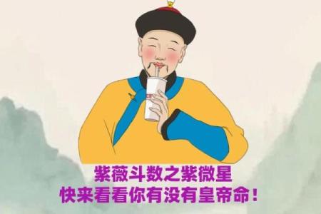 会紫薇斗数的人