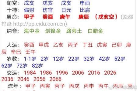 济缘算命：解读鼻子对命运的影响