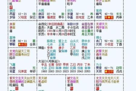 香港紫薇斗数高人