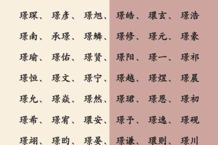 2019年4月20号子时出生的男孩应该起什么样的名字姓名