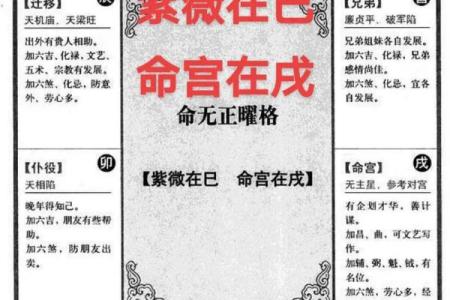 紫薇斗数紫府