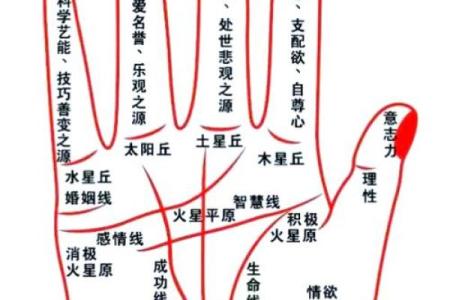手相算命：什么样的手相最有偏财运