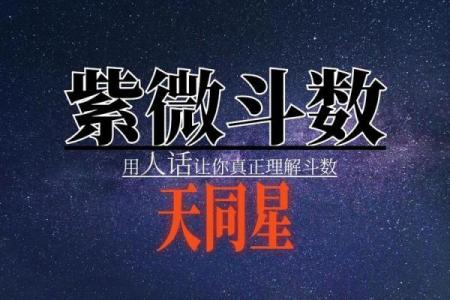 紫微斗数诸星落诸宫之：天同星迁移宫详解
