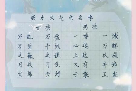 早上9点出生的属鼠男孩要如何起名姓名