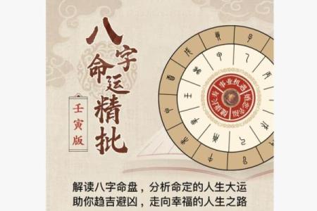 命运树算命