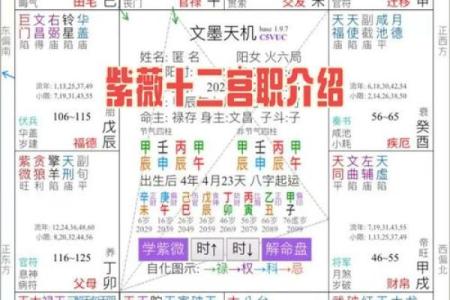 紫薇斗数宫位重叠
