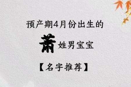 萧姓男孩名字大全-萧姓男孩起名字大全-萧姓名字大全姓名