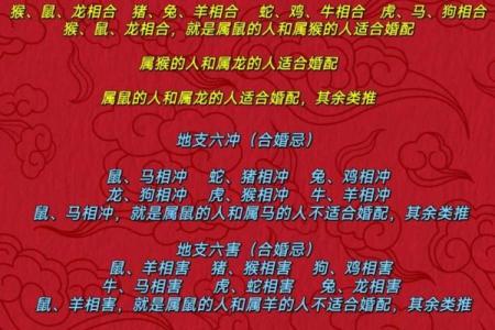 八字看合婚怎么看