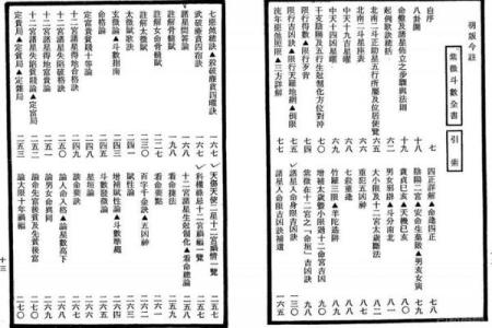 紫薇斗数pdf网盘
