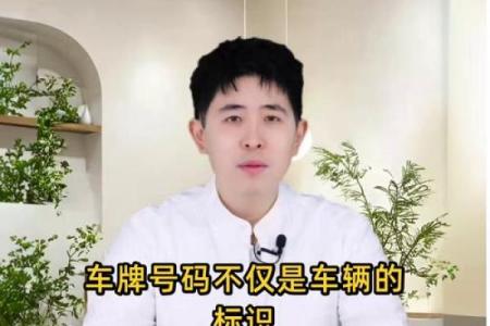 车牌吉凶查询打分测试免费 尾数为9的车牌号好不好