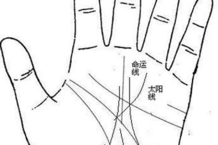 凯帝阿手相算命图解大全04