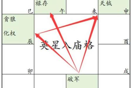 紫薇斗数庙什么意思