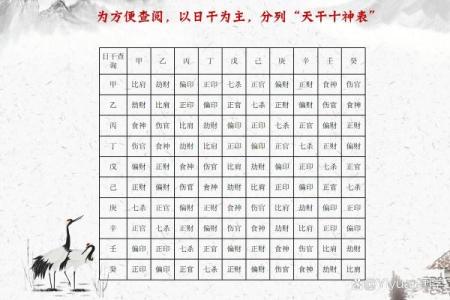 十神与八字