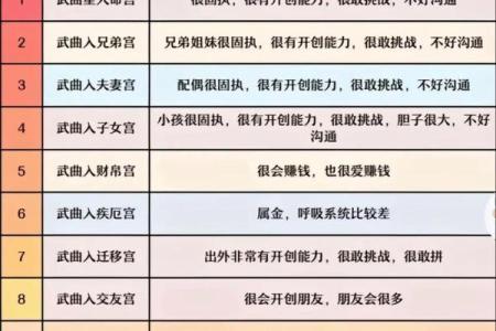 紫薇斗数什么宫最重要