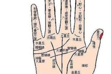 女性手纹算命图解