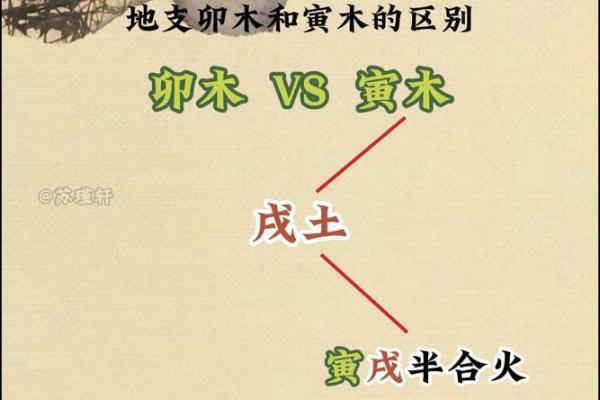 八字喜木