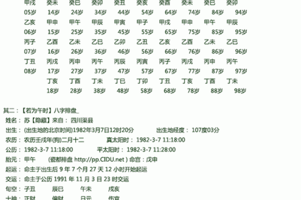 八字怎么排盘,查四柱八字的软件