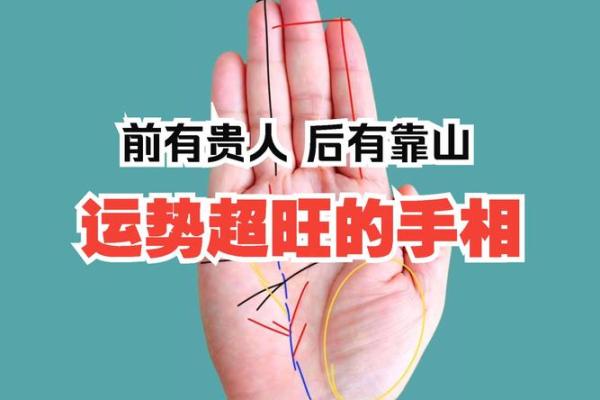看手相算命大师免费下载