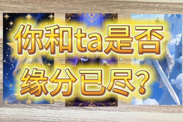 塔罗测试这一次你们还会复合吗 彻底缘分尽了吗