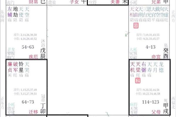 解紫薇斗数