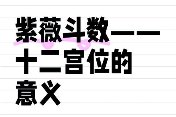 紫薇斗数飞禄