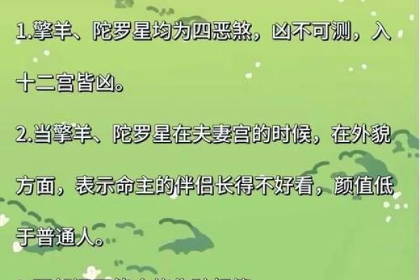 紫薇斗数看有没有孩子