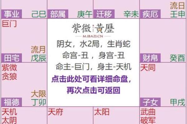 紫薇斗数化禄流通