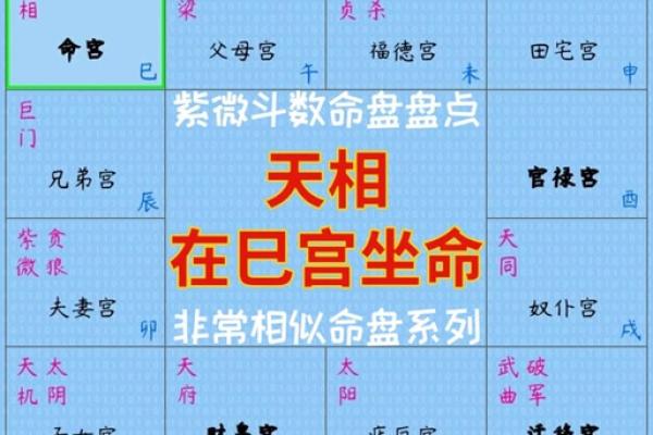 紫薇斗数金水相生